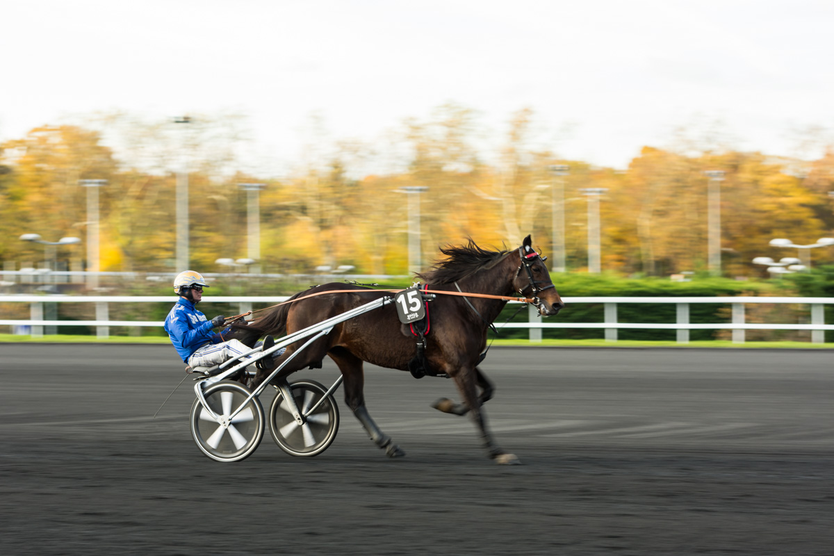 Bold Eagle au prix de Bretagne