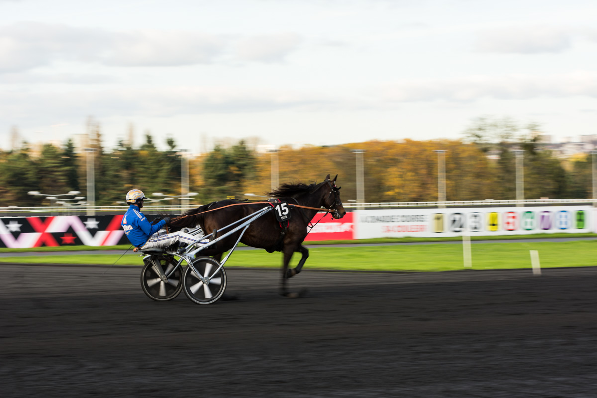 Bold Eagle au prix de Bretagne