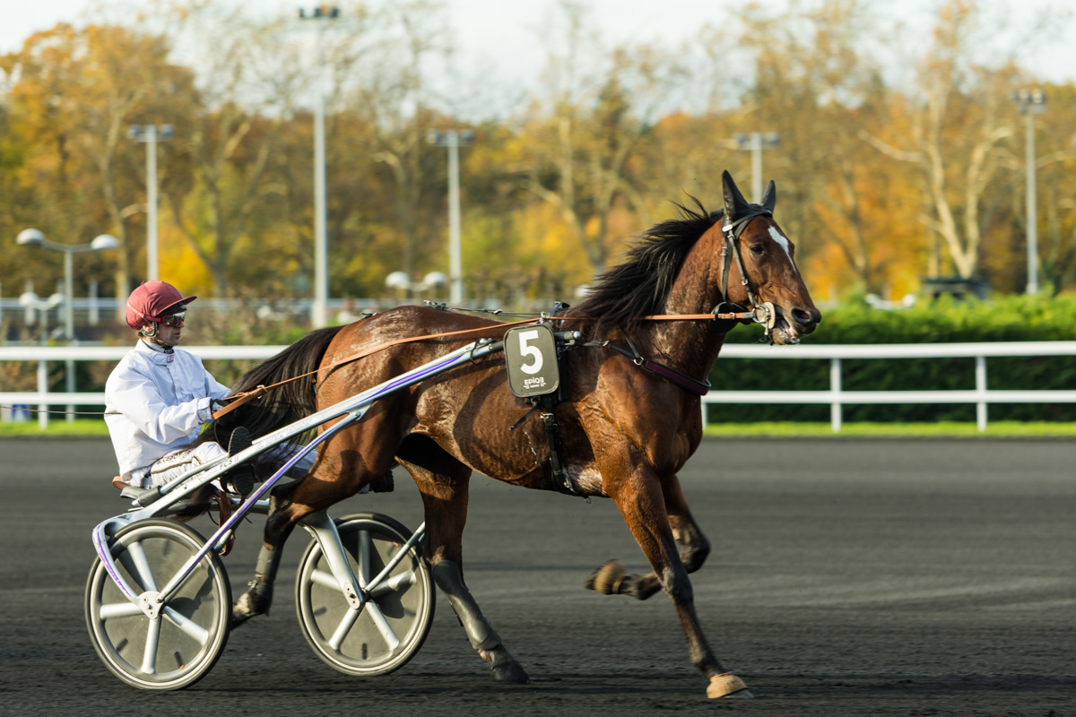 Charly du Noyer
