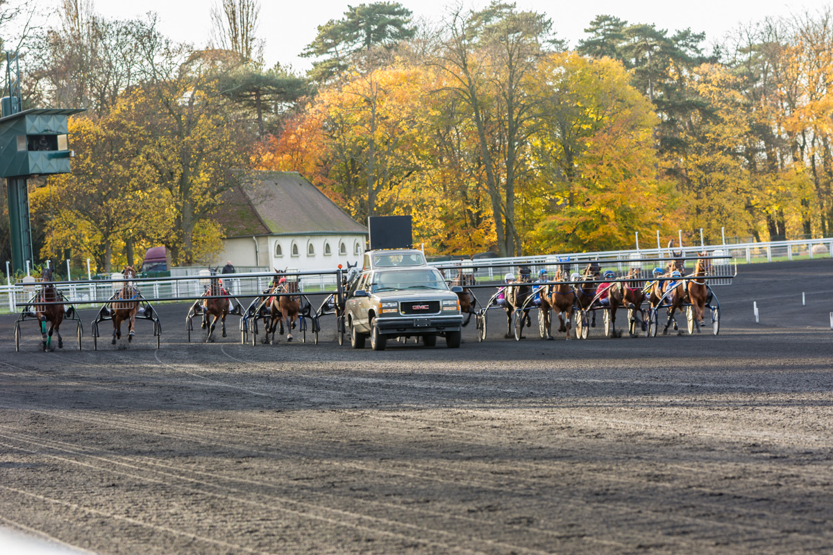 Chevaux derrière l'autostart